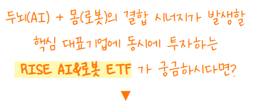 RISE AI&로봇 ETF
